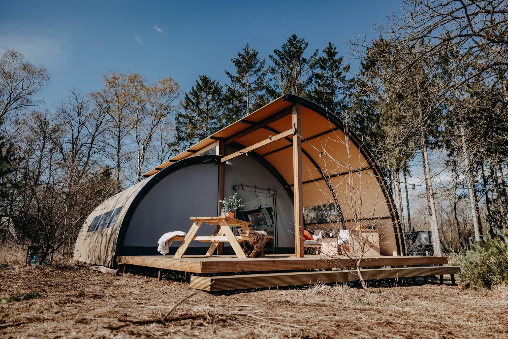 Arcade: tienda de glamping de techo curvo con deck y mesa de picnic, en el bosque