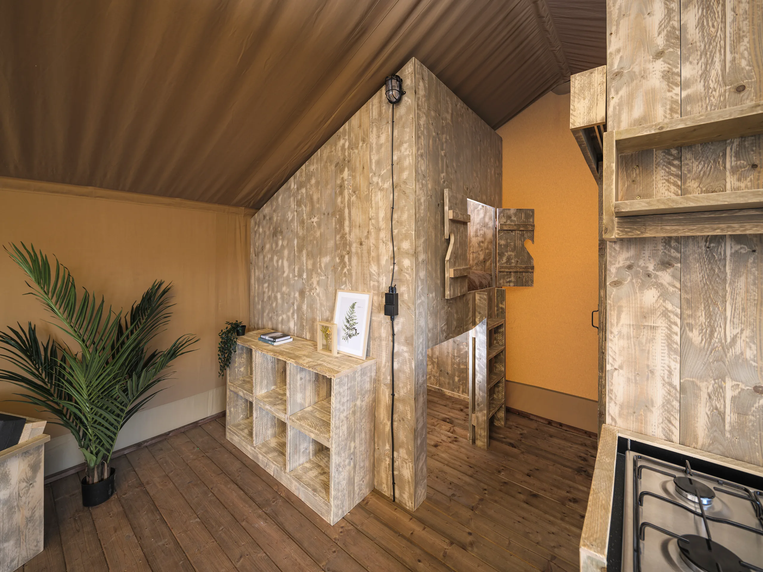 Luxury Safari Lodge: interior con repisas, planta y muros de madera