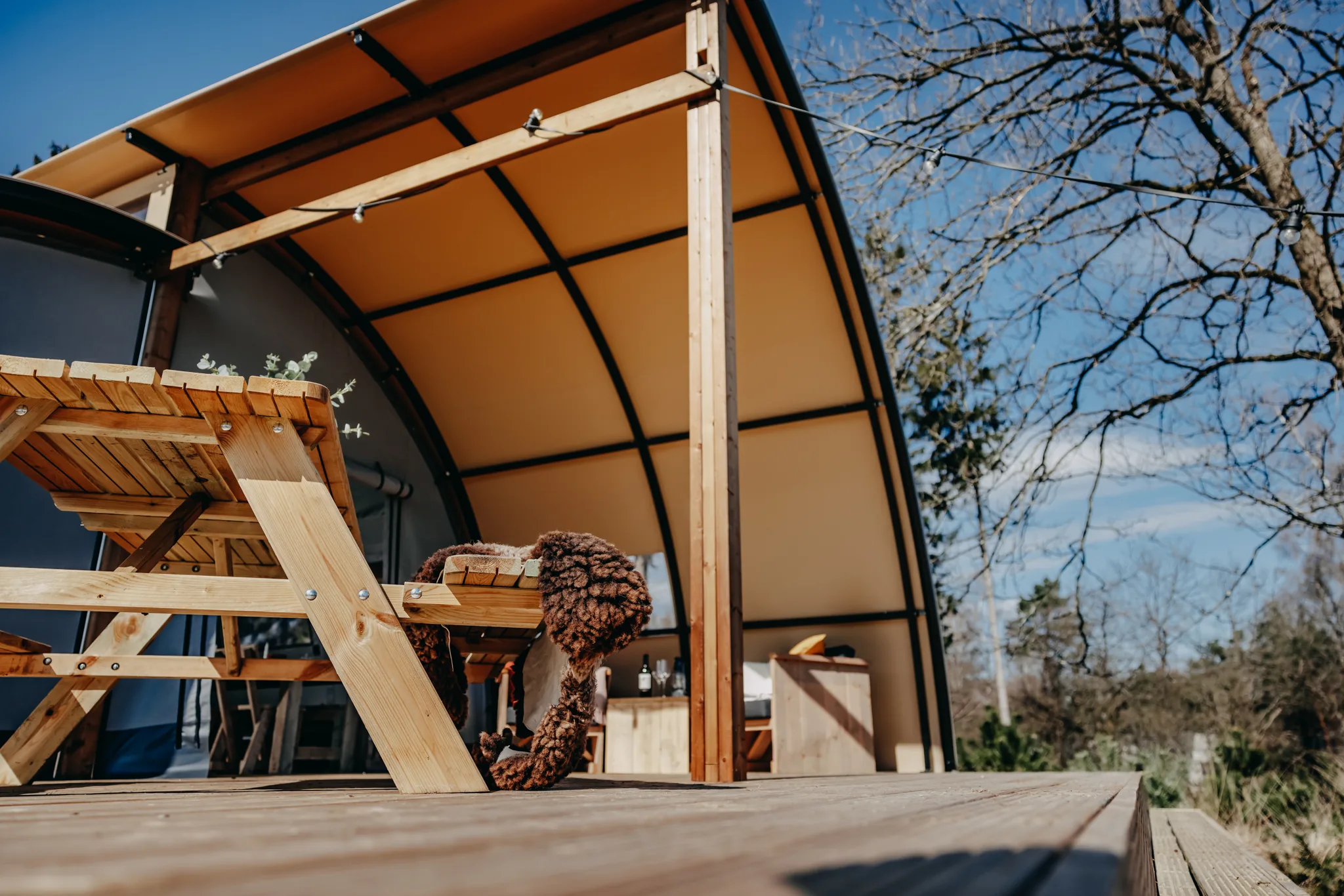 Arcade: mesa de picnic bajo el techo curvo de la terraza