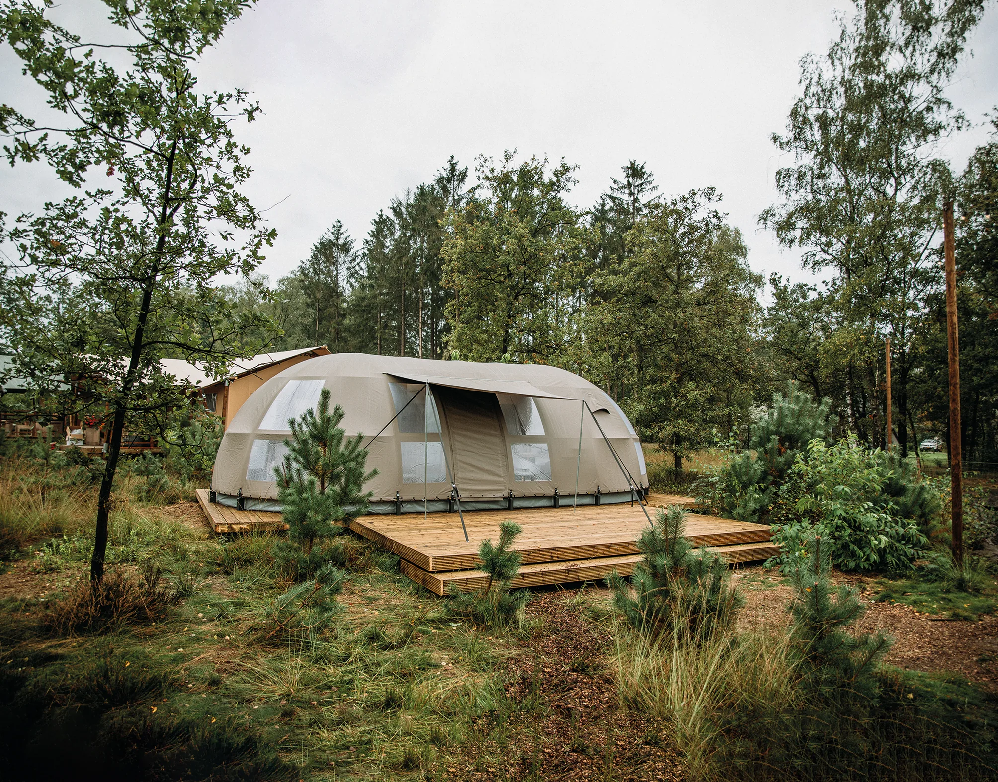 Panorama: tienda de glamping de techo curvo sobre deck, entre pinos